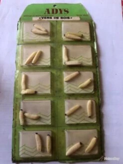 Twist 20 Vers De Bois Imitation Leurre Pêche Collection Ancien