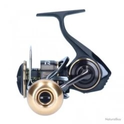 BG MQ 5000 DH ARK 2020 Moulinet Spinning Daiwa