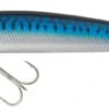 Leurre Daiwa D'Minnow SW 15F - 15cm BLUE MACKEREL -Pêche Soldes Magasin 00001 Leurre Daiwa D Minnow SW 15F 15cm BLUE MACKEREL