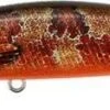 Leurre Duo Spearhead Ryuki 60 S ACCZ242 -Pêche Soldes Magasin 00001 Leurre Duo Spearhead Ryuki 60 S ACCZ242