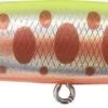 Leurre Tackle House Bitstream Jointed 85 - 11G 4 1 Leurre Tackle House Bitstream Jointed 85 - 11G 4 -Pêche Soldes Magasin 00001 Leurre Tackle House Bitstream Jointed 85 11G 4