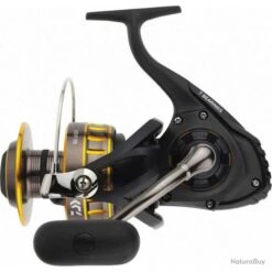 Moulinet Daiwa Exotique Bg 5000