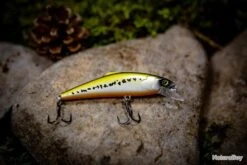 Sultan Of Swim 75 - Vairon