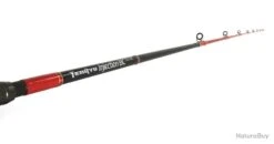 Canne Casting Tenryu Injection BC 73 M 1+1 2m21 147g 5-28g -Pêche Soldes Magasin 00002 Canne Casting Tenryu Injection BC 73 M 1 1 2m21 147g 5 28g