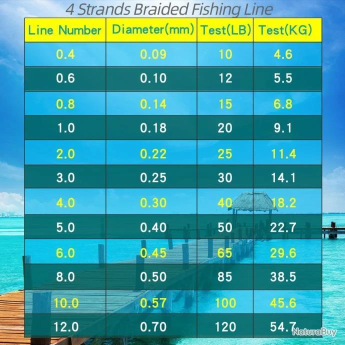 Fil De Peche Multifilament PE 4 Brins 300m, Couleur: Au Choix, Modele: 0.3mm 18.2kg 4 Fil De Peche Multifilament PE 4 Brins 300m, Couleur: Au Choix, Modele: 0.3mm 18.2kg – Image 2