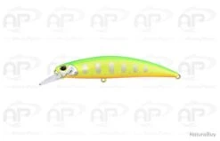 Leurre Truite Duo Spearhead Ryuki 95S Salt Water 17 Gr 95mm Full Chart Yamame