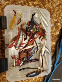 Leurres Souples -Pêche Soldes Magasin 00002 Leurres souples