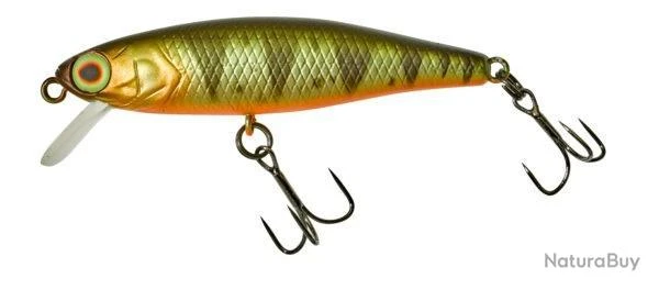 TINY FRY 50 SUSPENDING ILLEX Mat Perch NPC 3 TINY FRY 50 SUSPENDING ILLEX Mat Perch NPC