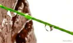 Fil De Peche Multifilament PE 4 Brins 300m, Couleur: Au Choix, Modele: 0.3mm 18.2kg 9 Fil De Peche Multifilament PE 4 Brins 300m, Couleur: Au Choix, Modele: 0.3mm 18.2kg -Pêche Soldes Magasin 00003 Fil de Peche Multifilament PE 4 brins 300m Couleur Au Choix Modele 0.3mm 18.2kg