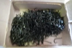 Hameçons 15 Canelle Par 1000 Bleu Renversé -Pêche Soldes Magasin 00003 Hamecons 15 canelle par 1000 bleu renverse