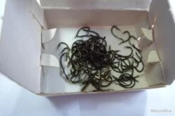 Hameçons 16 MUSTAD 530 Lot 500 Ham -Pêche Soldes Magasin 00003 Hamecons MUSTAD 530 lot 500 ham