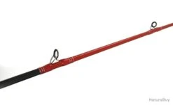 Canne Casting Tenryu Injection BC 73 M 1+1 2m21 147g 5-28g -Pêche Soldes Magasin 00004 Canne Casting Tenryu Injection BC 73 M 1 1 2m21 147g 5 28g