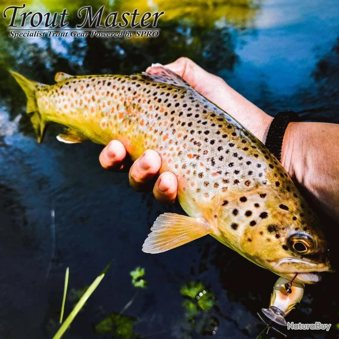 Canne Spinning Spro Trout Master NT Lite Influence 1.80m 2-12g 7 Canne Spinning Spro Trout Master NT Lite Influence 1.80m 2-12g – Image 5