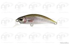 Leurre Truite Duo Spearhead Ryuki 50S Coulant Rainbow Trout 4,5 G 50mm Hameçons Triples