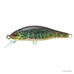 Leurre Coulant Sakura Flat Phoxy Minnow Hw - Holo Trout / 6 G / 5 Cm 14 Leurre Coulant Sakura Flat Phoxy Minnow Hw - Holo Trout / 6 G / 5 Cm -Pêche Soldes Magasin 00013 Leurre coulant Sakura Flat Phoxy Minnow Hw Holo Trout 6 g 5 cm