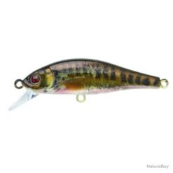 Leurre Coulant Sakura Flat Phoxy Minnow Hw - Holo Trout / 6 G / 5 Cm 15 Leurre Coulant Sakura Flat Phoxy Minnow Hw - Holo Trout / 6 G / 5 Cm -Pêche Soldes Magasin 00014 Leurre coulant Sakura Flat Phoxy Minnow Hw Holo Trout 6 g 5 cm