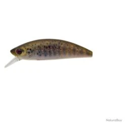 Leurre Coulant Sakura Phoxy Minnow Hw - 4 Cm / 2.6 G / Brown Vairon -Pêche Soldes Magasin 00014 Leurre coulant Sakura Phoxy Minnow Hw 4 cm 2.6 g Brown Vairon