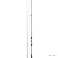 Canne Spinning Daiwa Procaster A - 1,83 M / 3 - 10 G -Pêche Soldes Magasin 00018 Canne Spinning Daiwa Procaster A 1 83 m 3 10 g